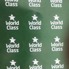 WCSQM stickers